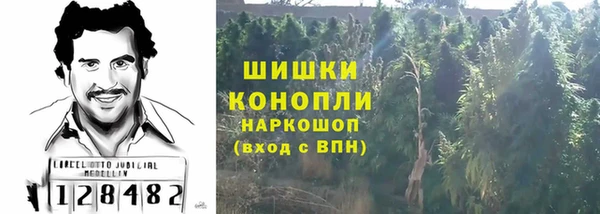 mdma Новодвинск