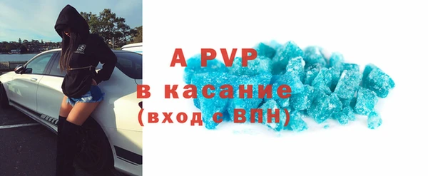 СК Новозыбков