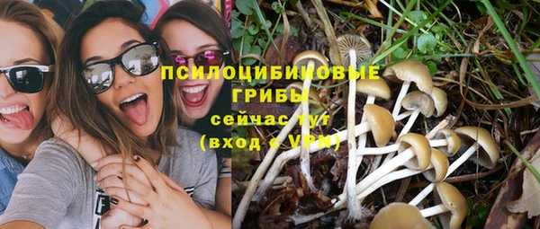 СК Новозыбков