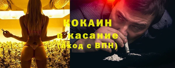 СК Новозыбков