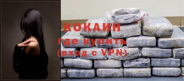 СК Новозыбков