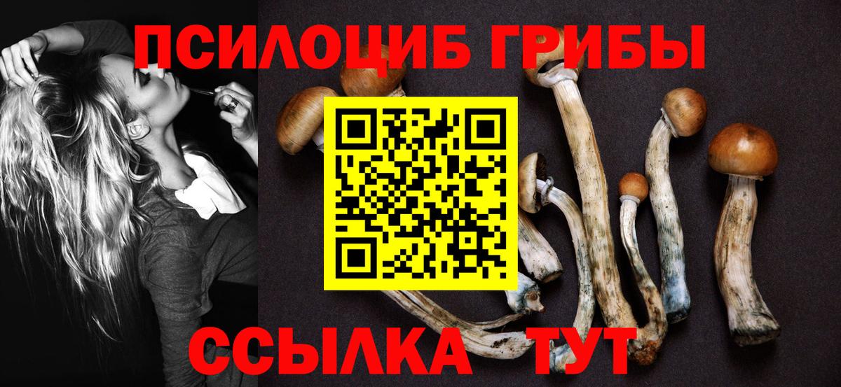 Галлюциногенные грибы ЛСД  Вход с VPN  Грозный 