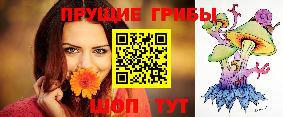 Псилоцибиновые грибы Magic Shrooms Грозный